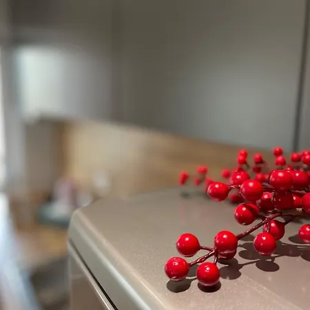 Museum Center One Bedroom App - Enjoy Travel アパート ティラナ